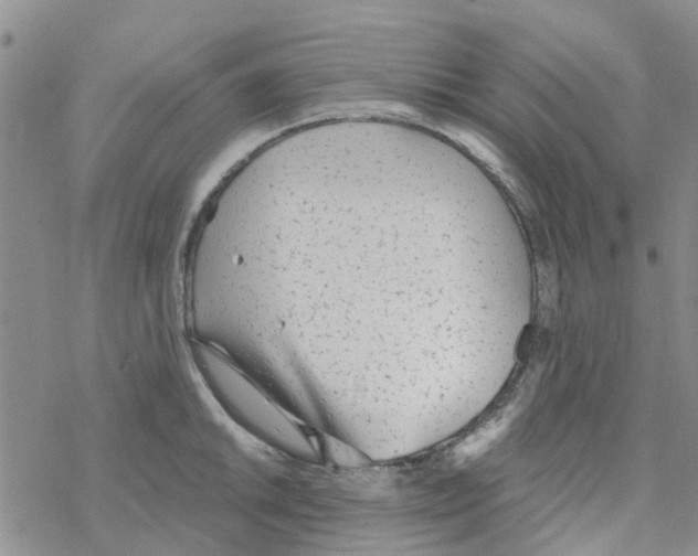 X0000068731046200605262021