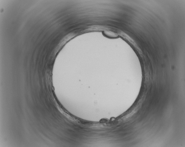 X0000068731049200605262021