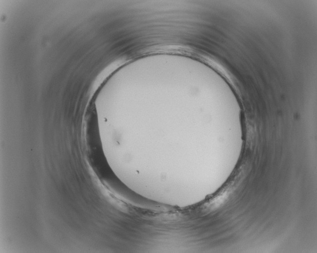 X0000068731050200605262021