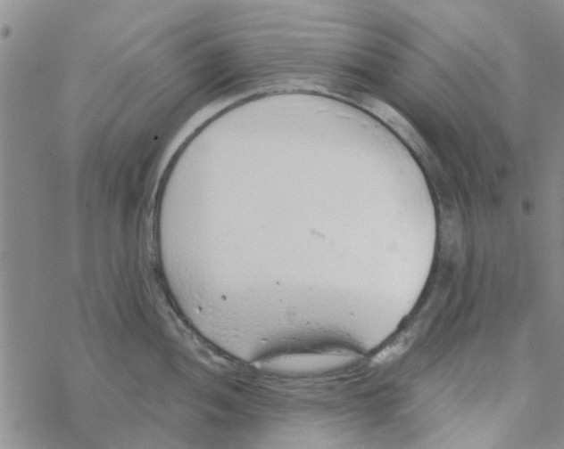 X0000068731052200605262021