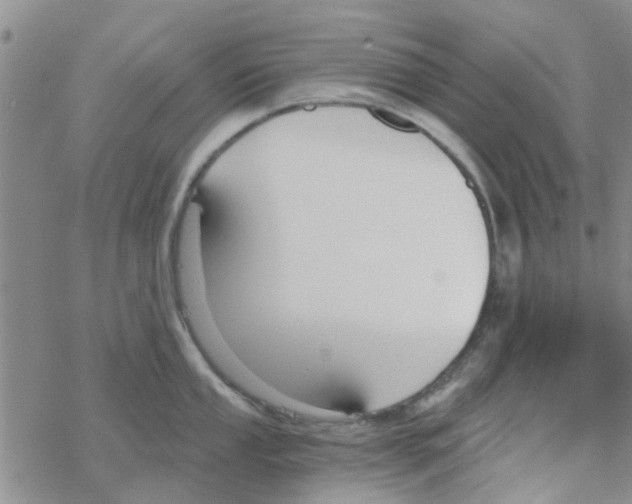 X0000068731053200605262021