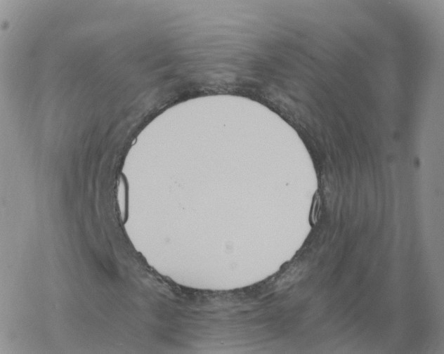 X0000068731057200605262020