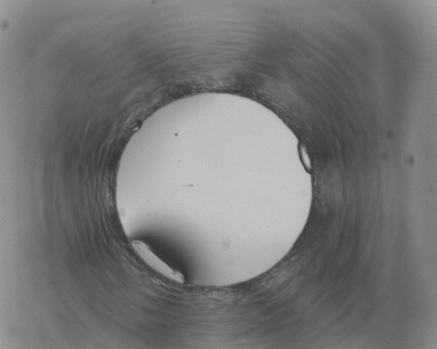 X0000068731058200605262020