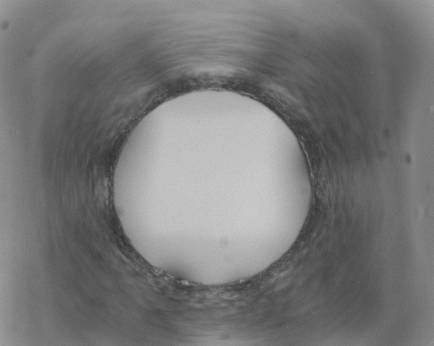 X0000068731061200605262020