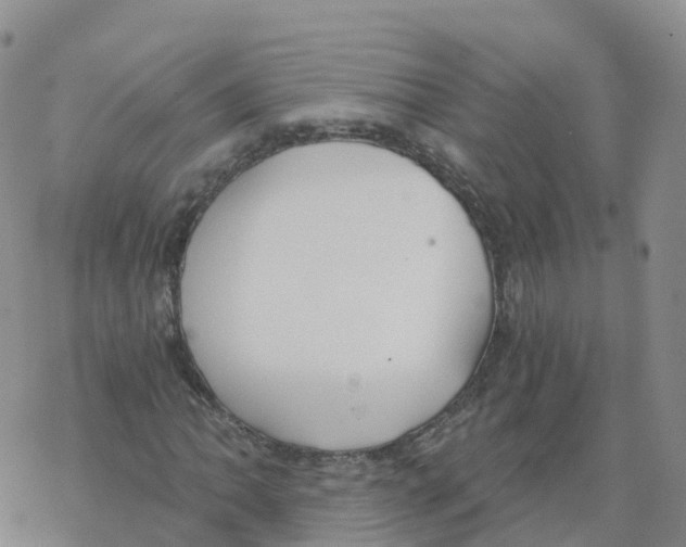 X0000068731062200605262020