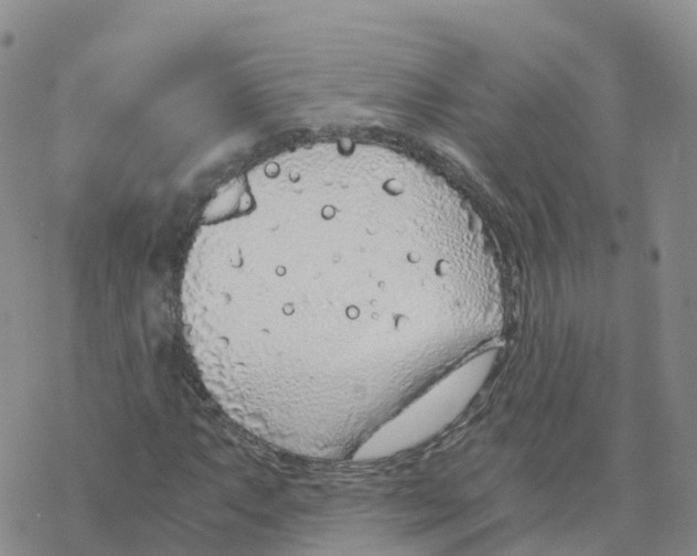 X0000068731063200605262020