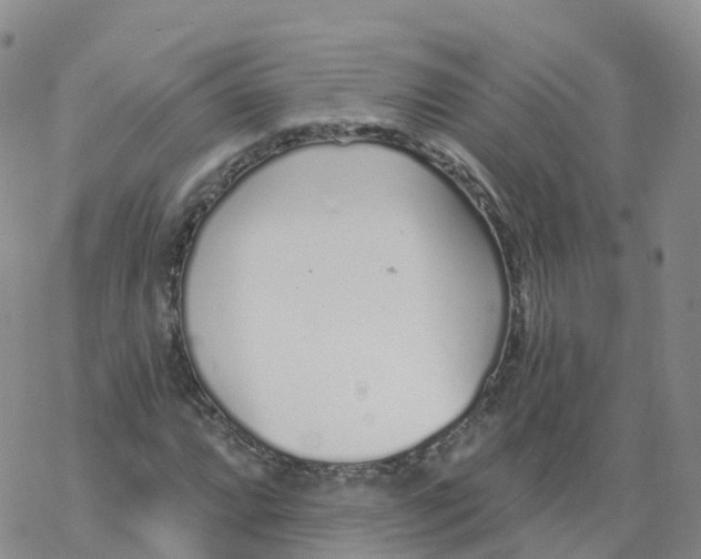 X0000068731064200605262020