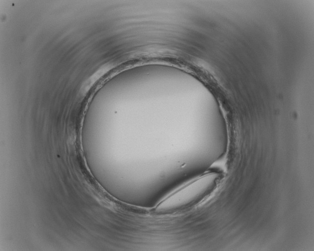 X0000068731065200605262020