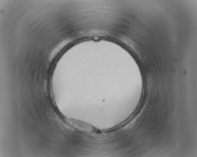 X0000068731066200605262020