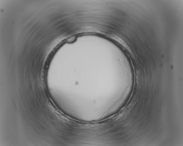 X0000068731068200605262020