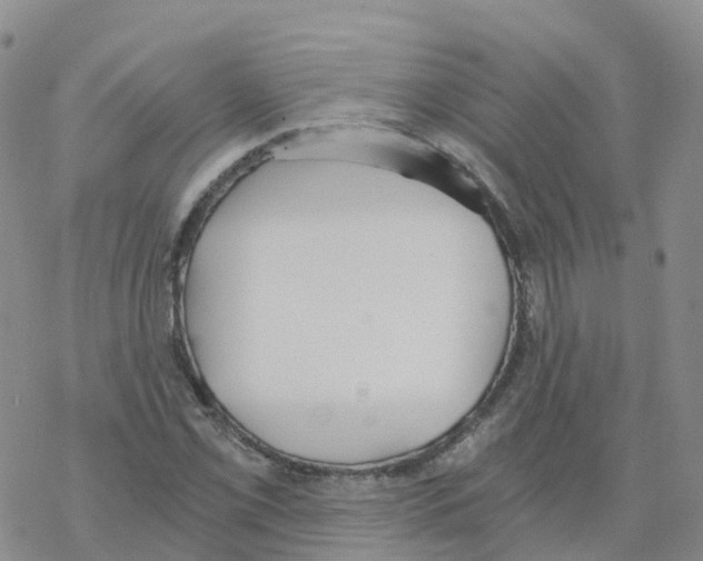 X0000068731069200605262020