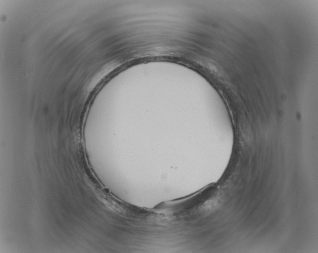 X0000068731073200605262020