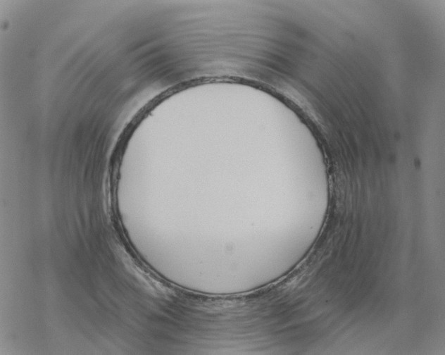 X0000068731076200605262020