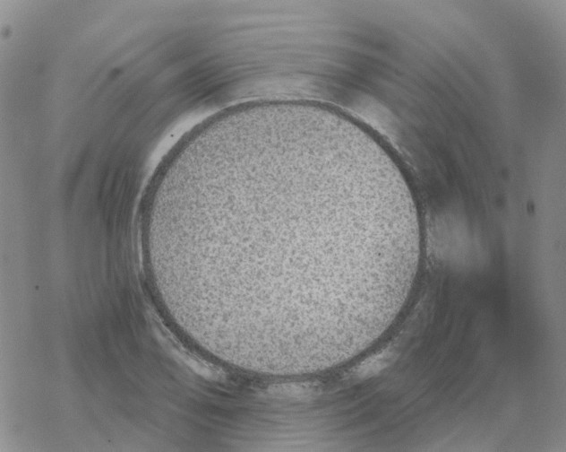 X0000068731078200605262020