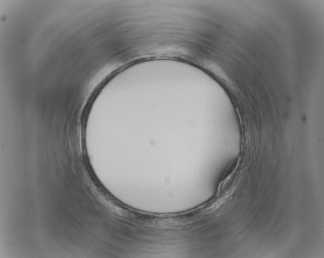 X0000068731079200605262020