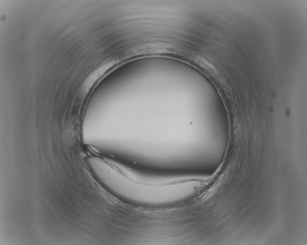 X0000068731081200605262020