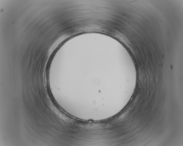 X0000068731082200605262020