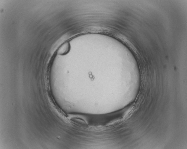 X0000068731083200605262020