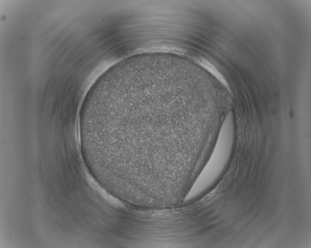 X0000068731084200605262020