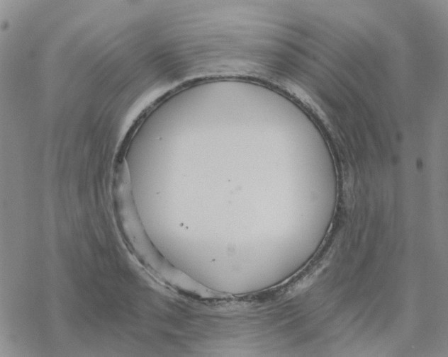 X0000068731085200605262020