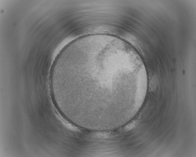 X0000068731086200605262020