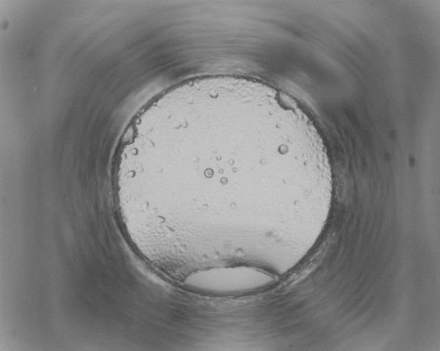 X0000068731087200605262020