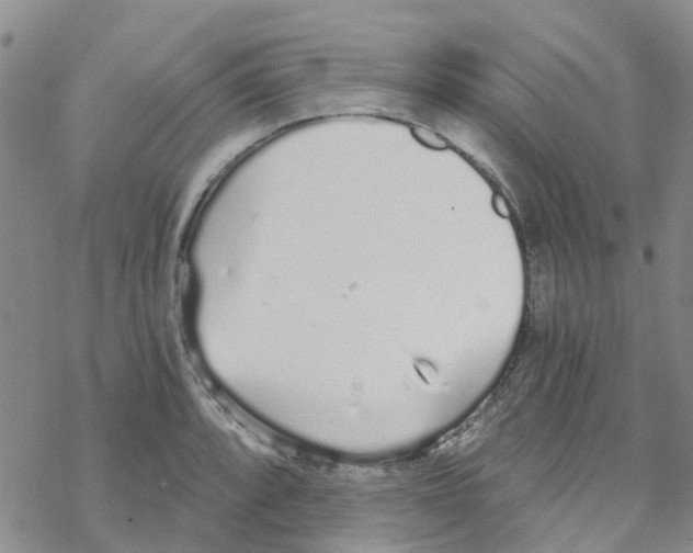 X0000068731088200605262020