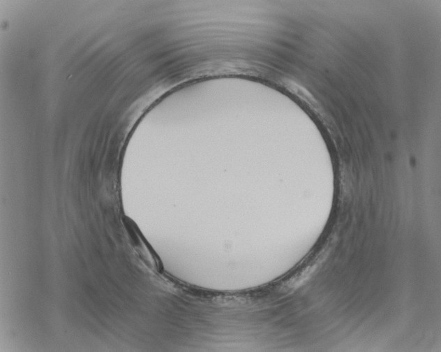 X0000068731089200605262020