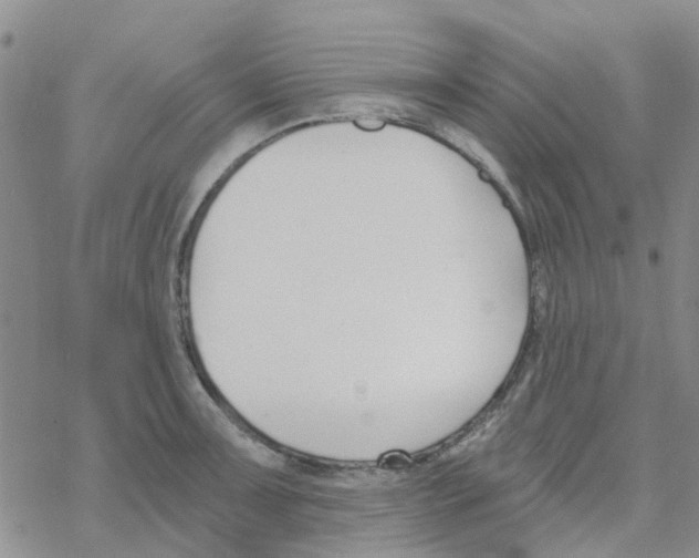 X0000068731091200605262020