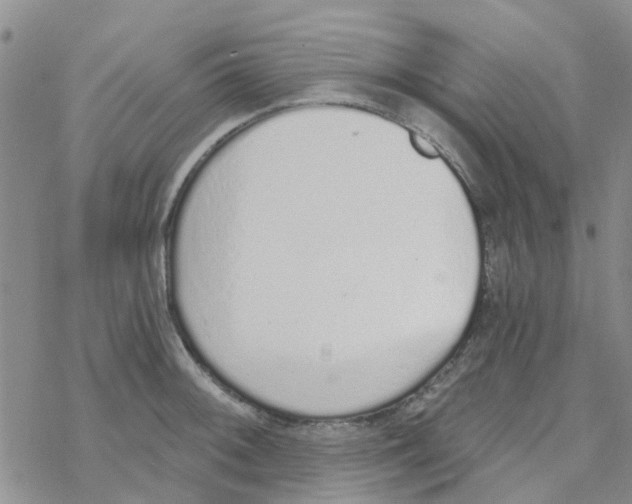 X0000068731092200605262020