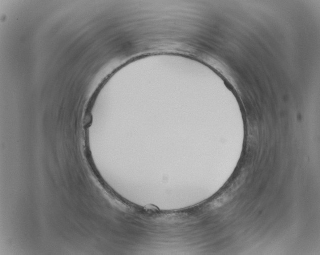 X0000068731093200605262019