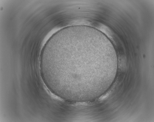 X0000068731094200605262019