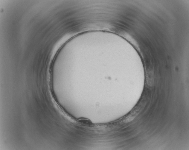 X0000068731096200605262019