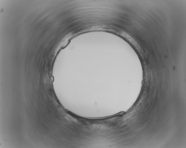 X0000068731097200605262019