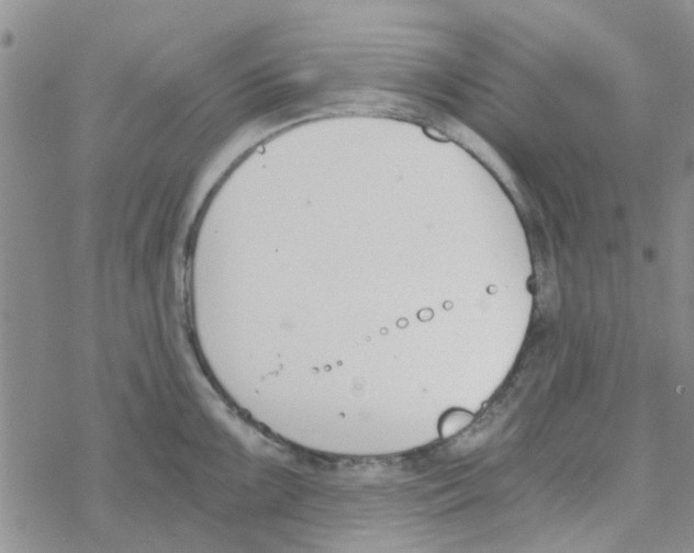 X0000068731099200605262019