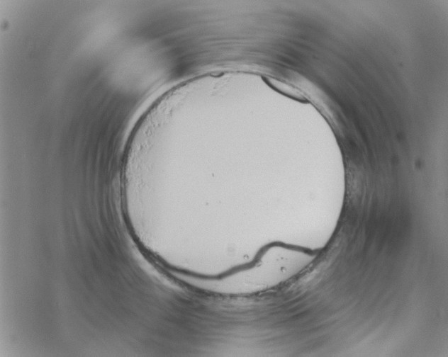 X0000068731100200605262019