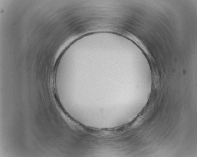 X0000068731101200605262019