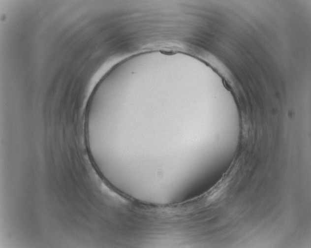 X0000068731102200605262019