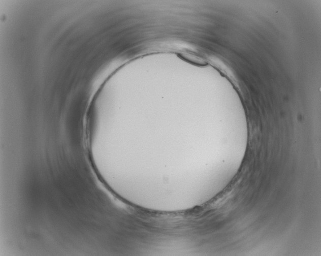 X0000068731103200605262019