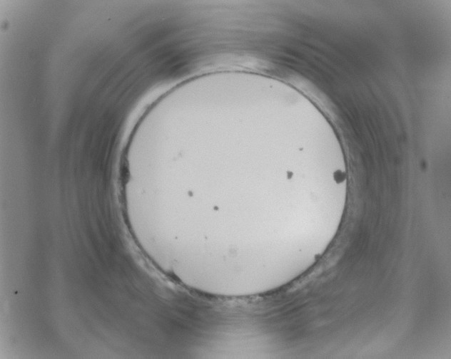 X0000068731104200605262019