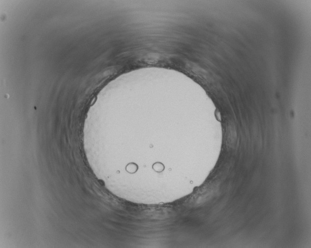 X0000068731105200605262018