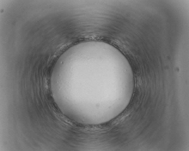 X0000068731106200605262018