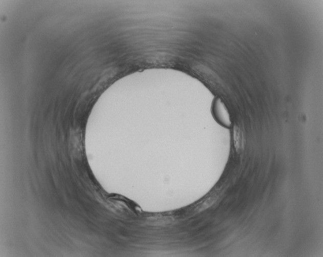 X0000068731107200605262018