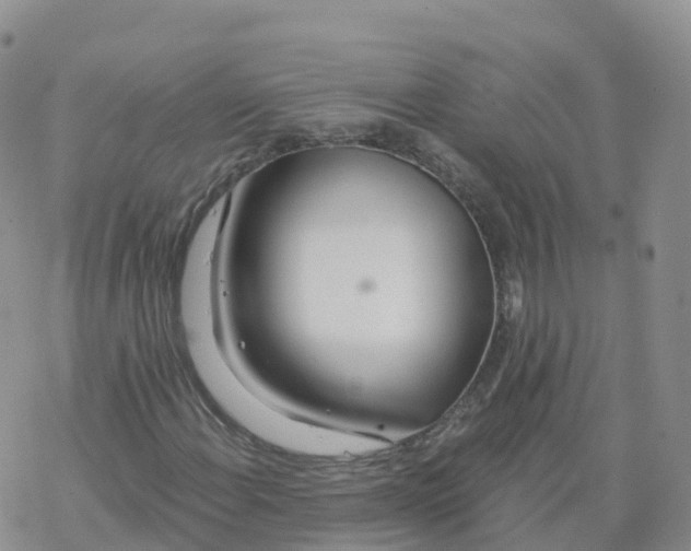 X0000068731108200605262018