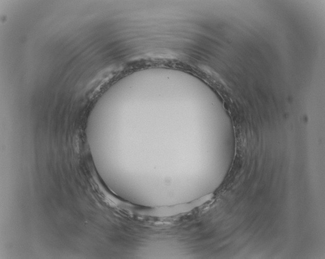 X0000068731110200605262019