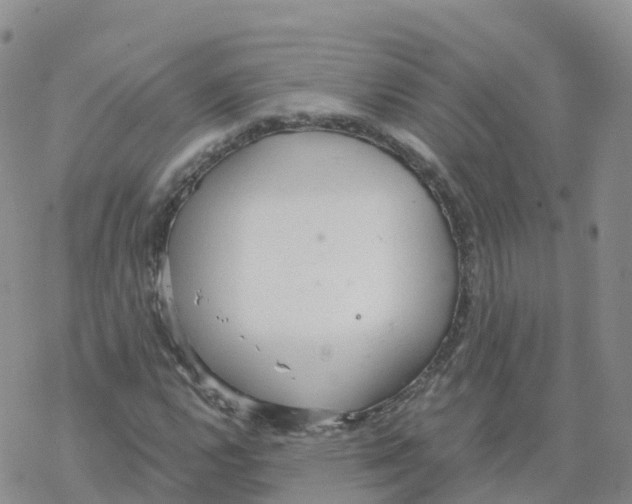 X0000068731112200605262019