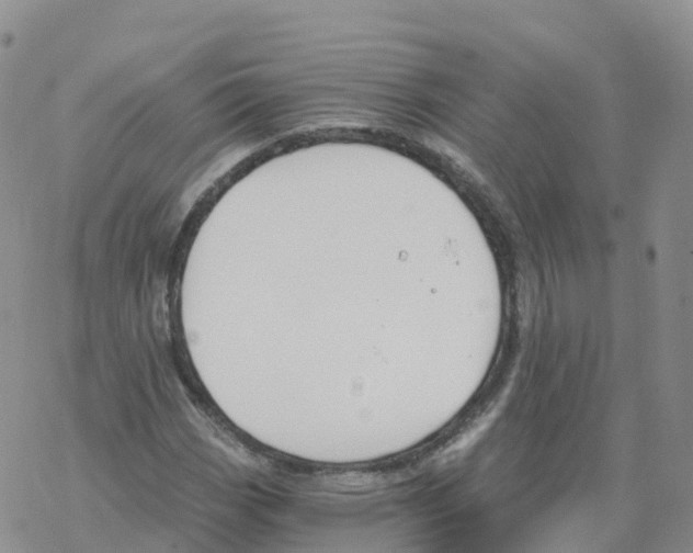 X0000068731113200605262019