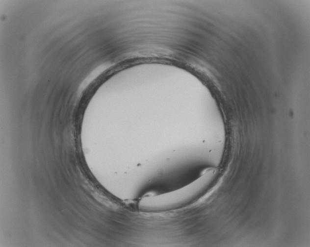 X0000068731114200605262019