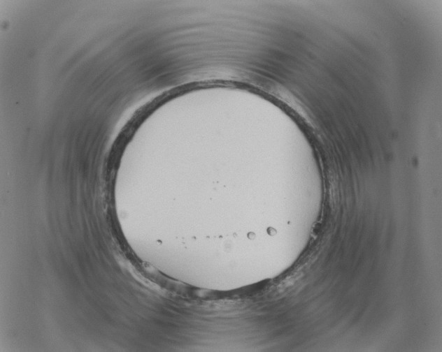 X0000068731116200605262019