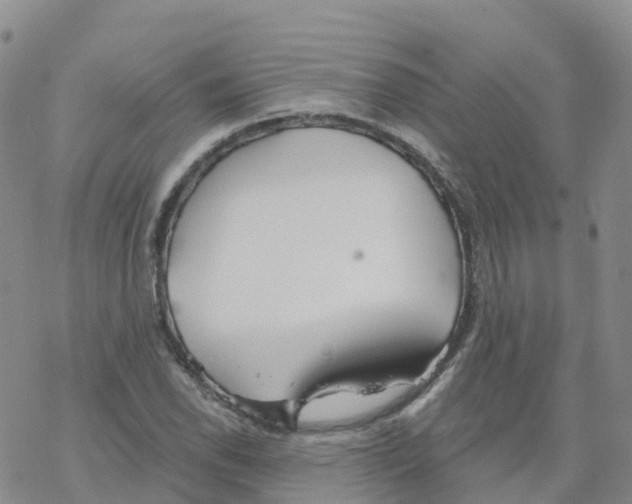 X0000068731118200605262019